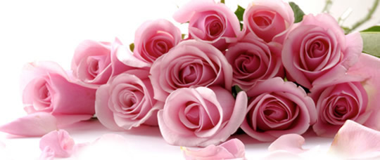 funerais-lisboa-h funerais-lisboa-h